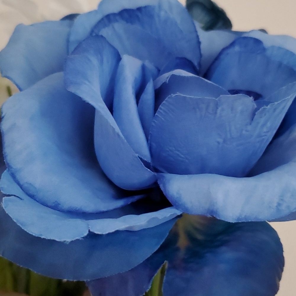 Meet your Posher, Monique